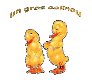 Gif un gros câlinou